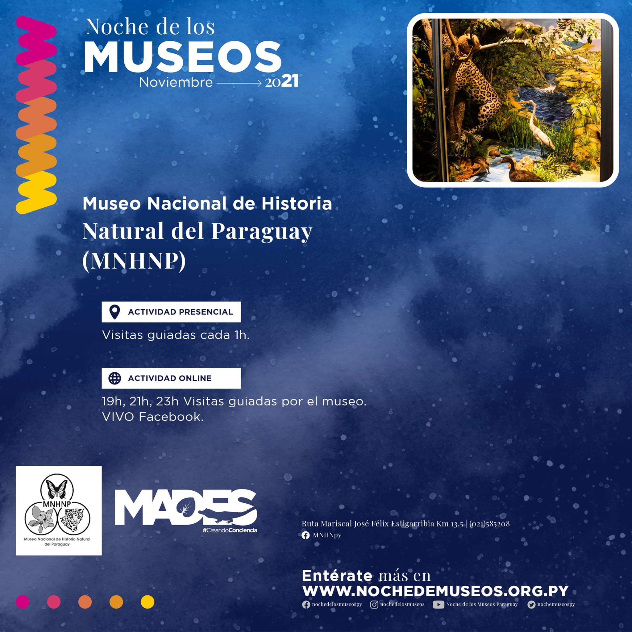 Explorá nuestras exhibiciones