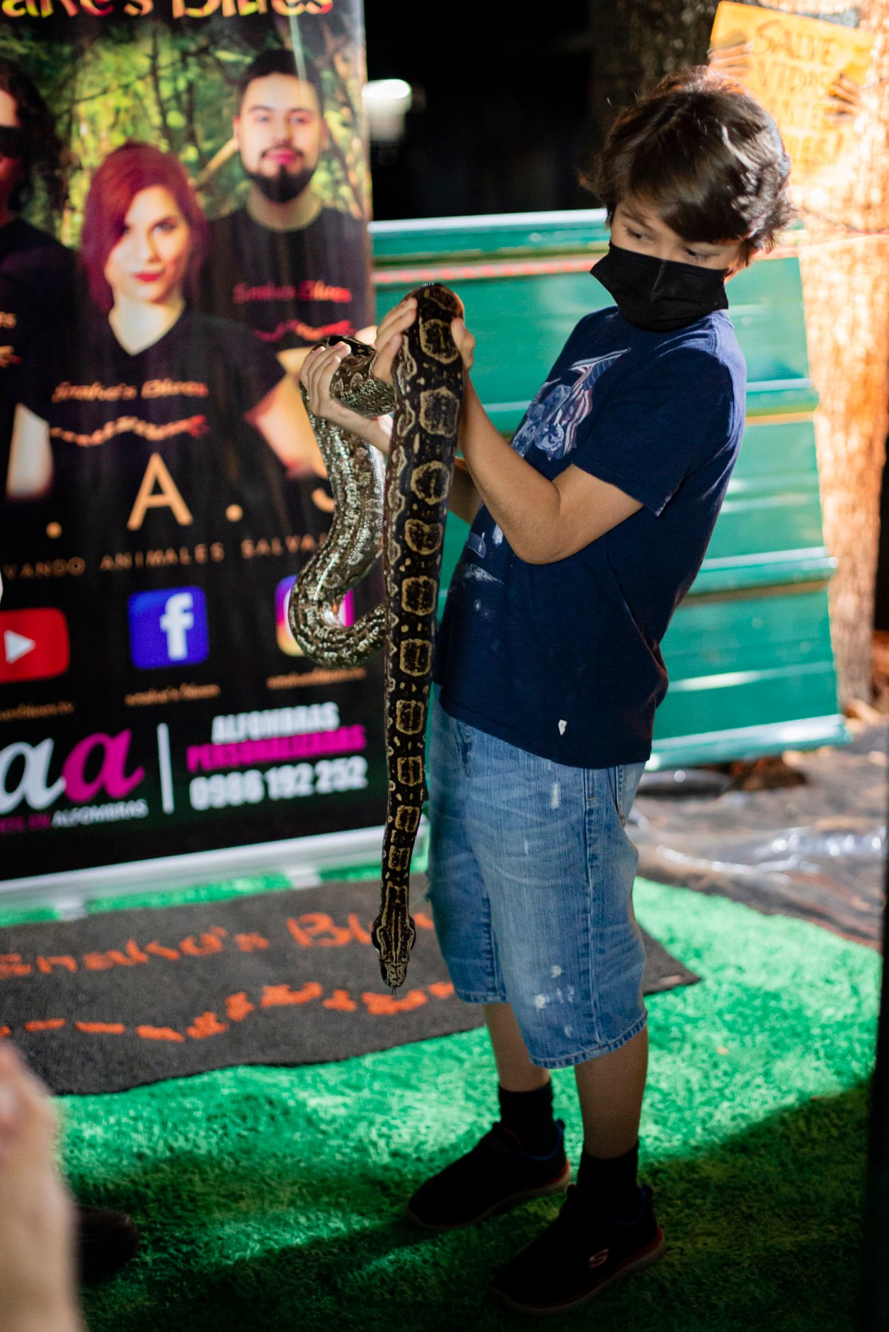 Insectos del Paraguay: La Mayoría Oculta