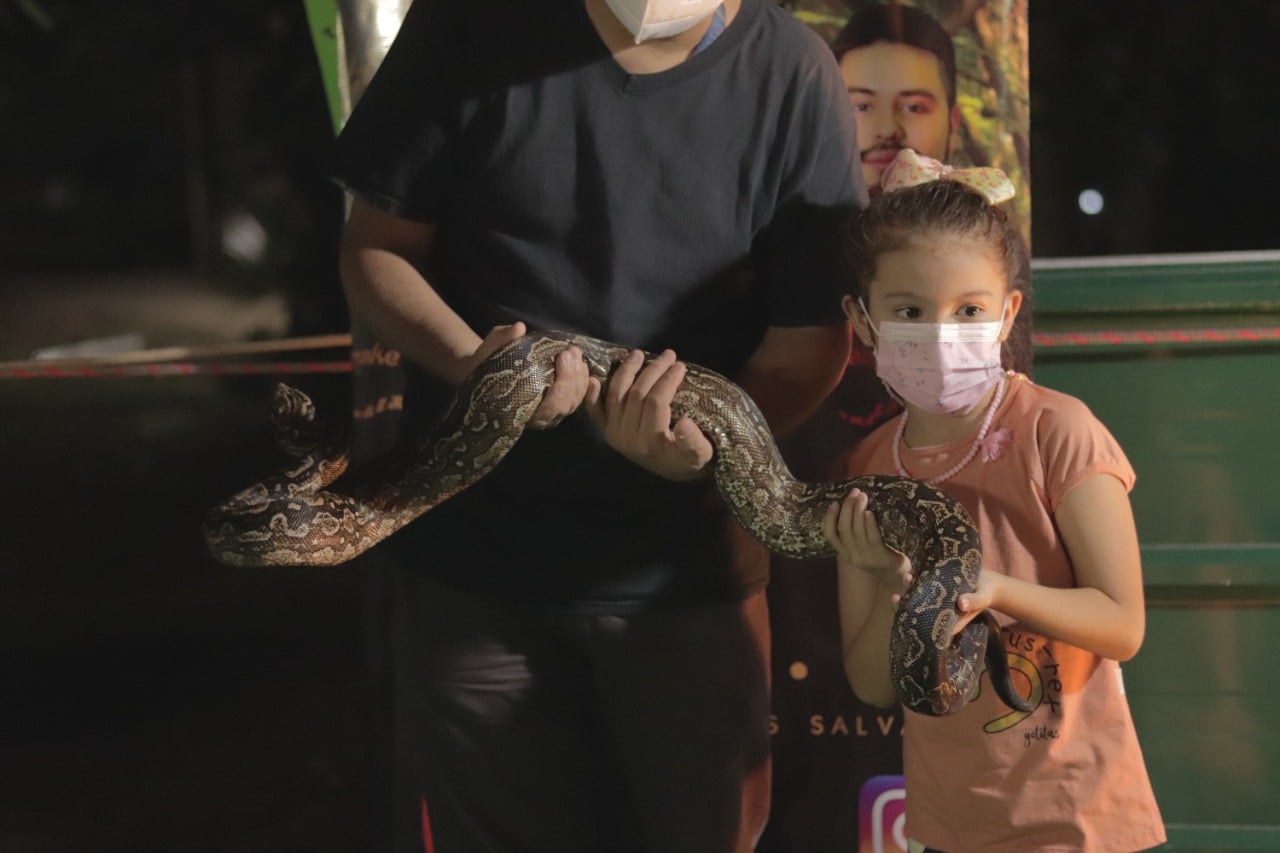 Salas de Exhibición