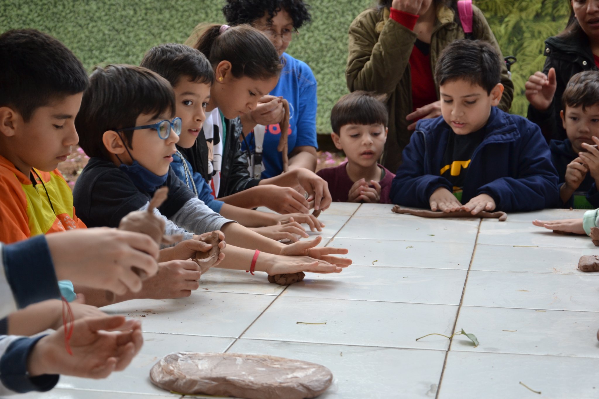 Semana de Educación Ambiental