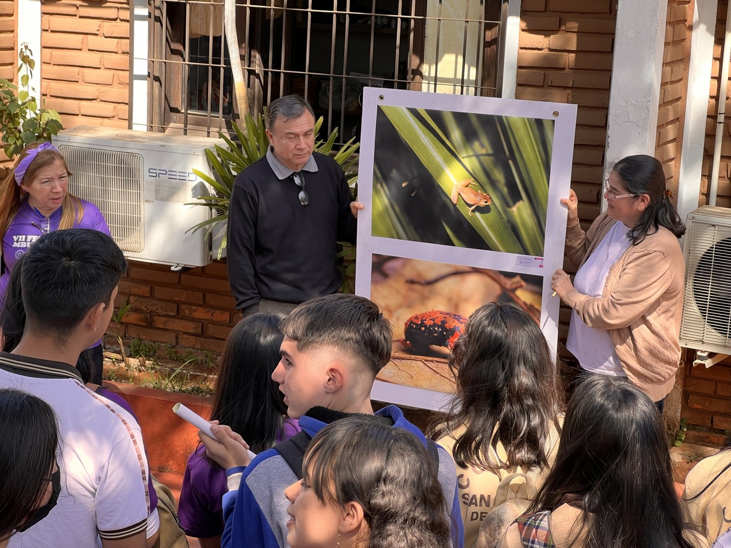 Plantas Medicinales del Paraguay